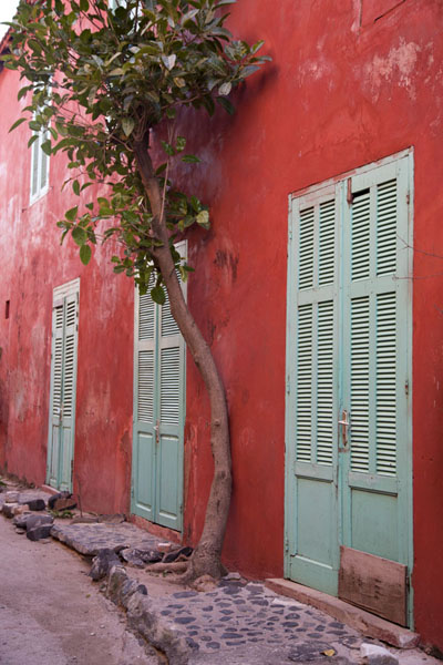 Maisons colorees de Goree